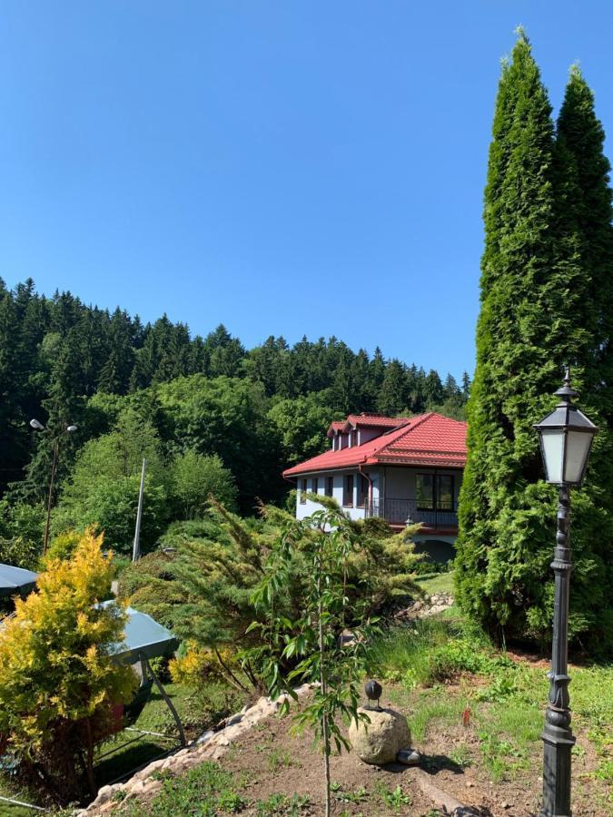 Apartment Lesny Dom *