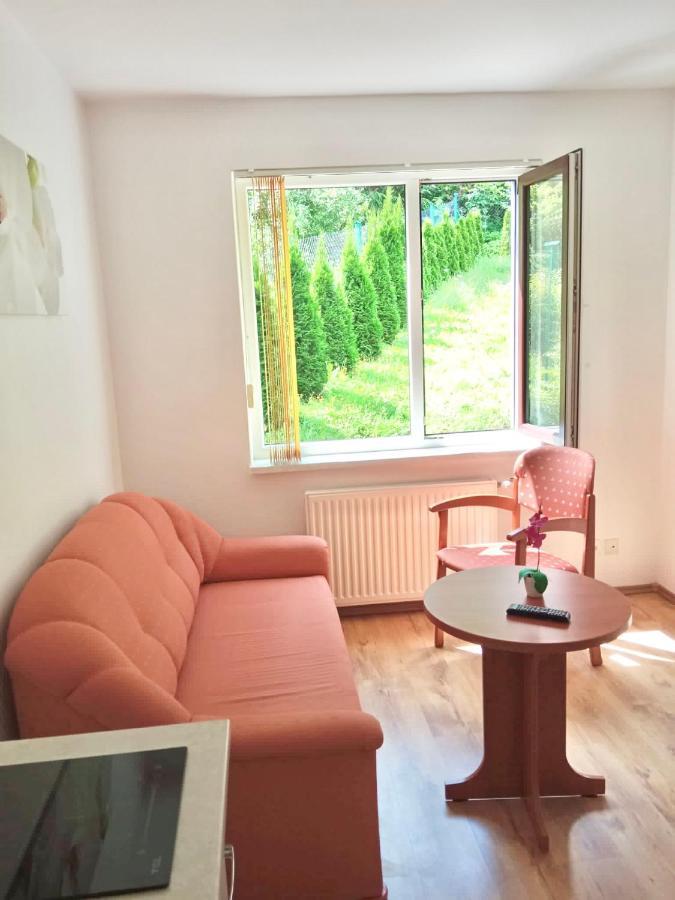 Apartment Lesny Dom